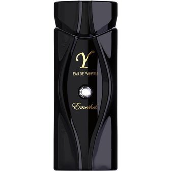 Y Eau de Parfum 100 ML