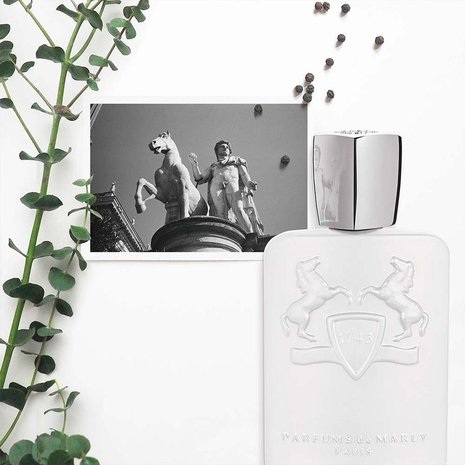 Galloway Eau de Parfum 75 ml