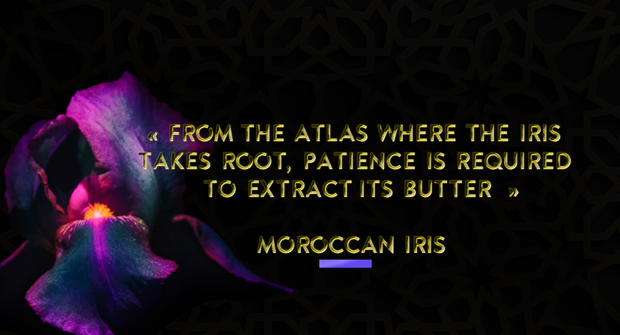 Moroccan Iris Extrait de Parfum 65 ml