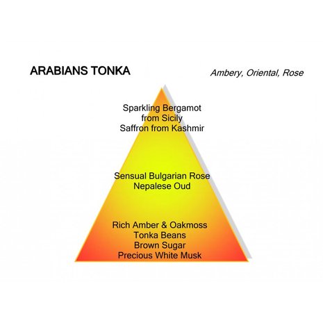  Arabians Tonka Eau de Parfum 100 ml