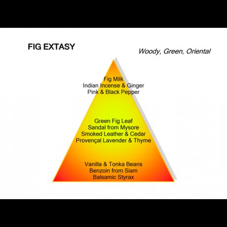 Fig Extasy eau de parfum 120ml