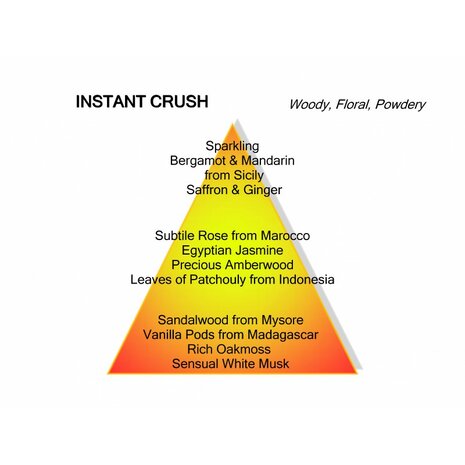 INSTANT CRUSH Eau de Parfum 120 ML