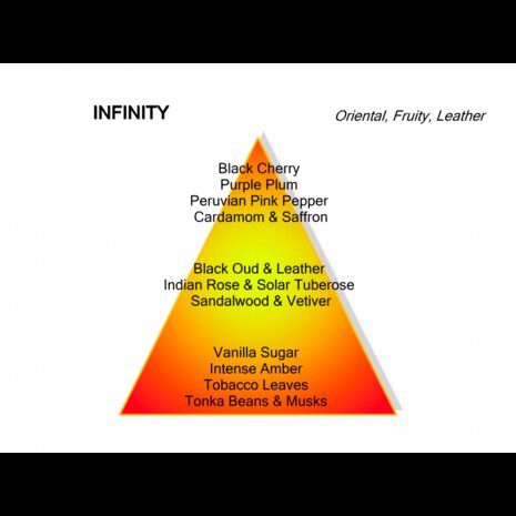 Infinity Eau de Parfum 100 ml