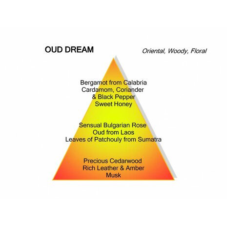 Oud Dream Eau de Parfum 100 ml
