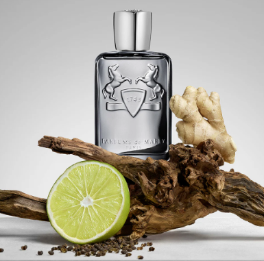Castley Eau de Parfum 75 ml 