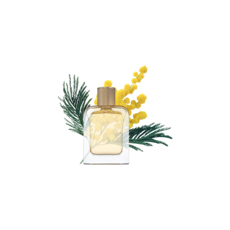 Sur la Plage Eau de Parfum 85m
