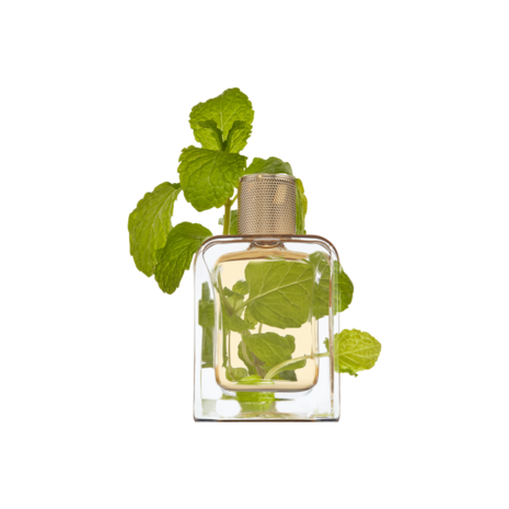 Vert Desir Eau de Parfum 85m
