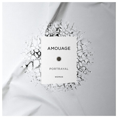 Portrayal Man Eau de Parfum 100 ml