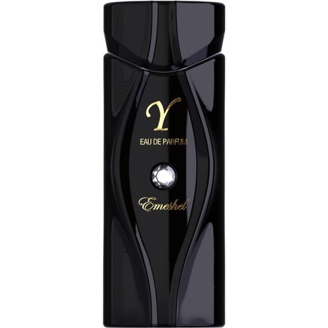 Y Eau de Parfum 100 ML