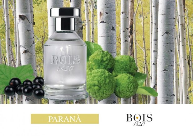 Parana Eau de Parfum 100 ml 