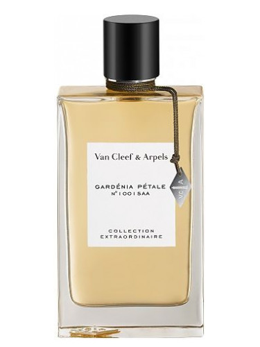 Collection Extraordinaire Gardenia Petale
