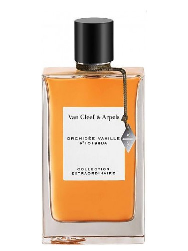 Collection Extraordinaire - Orchidée Vanille