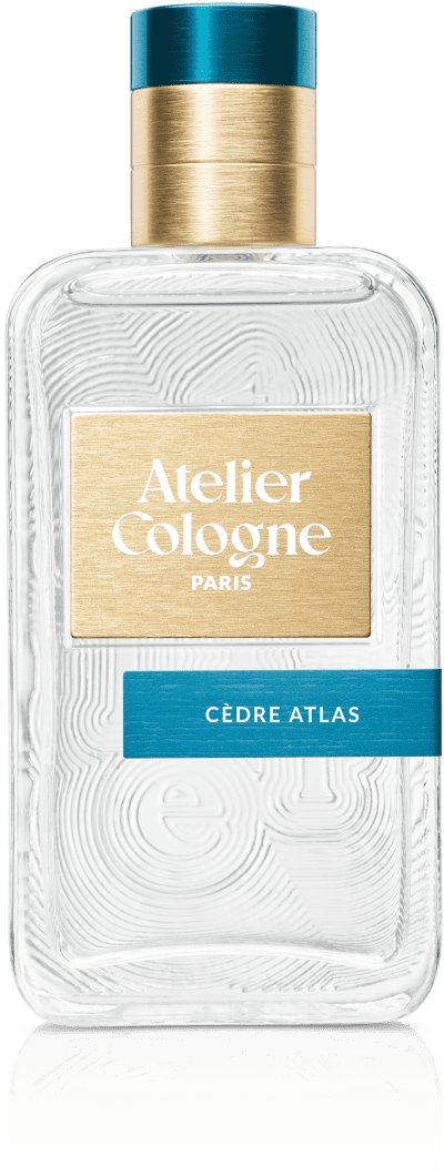 Cedre Atlas