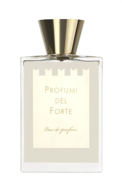 Vetiver Moderno