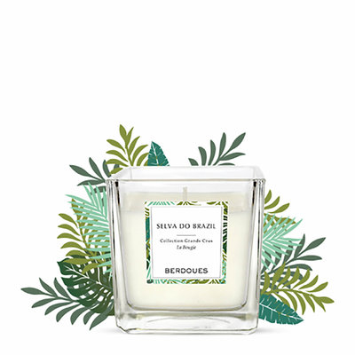 Selva do Brazil PERFUMED CANDLE 180G *