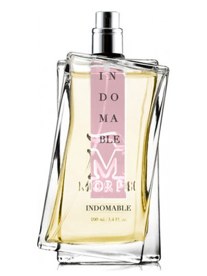INDOMABLE Intense  Parfum 100 ml