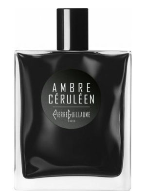 Ambre Ceruleen Eau de Parfum 100 ml