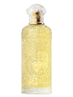 ORIENTAL ENIGMA  Eau de Parfum 100 ml