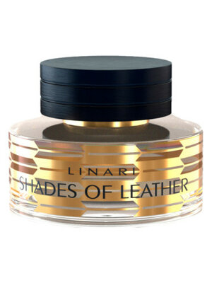 Shades of Leather Eau de Parfum 100 ml