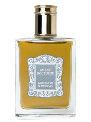 Ambre Nocture Eau de Parfum 100 ml