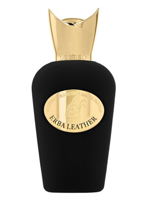 Erba Leather Eau de Parfum 100 ml