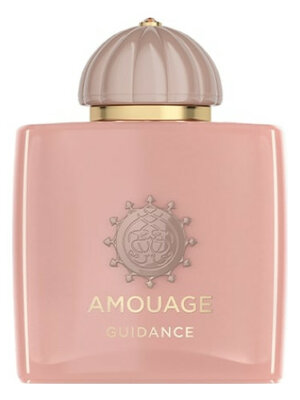 Guidance Eau de Parfum 100 ml