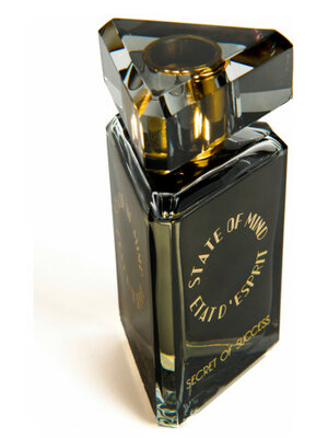 Secret of Succes Eau de Parfum 100 ml