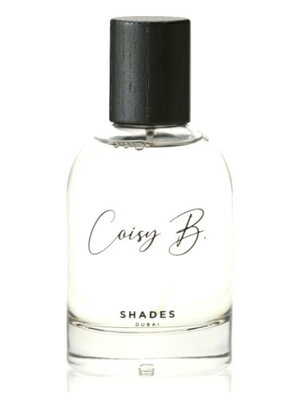 SHADES Eau de Parfum 100 ml