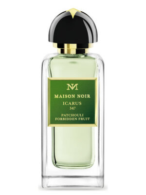 ICARUS 347 Eau de Parfum 100 ml