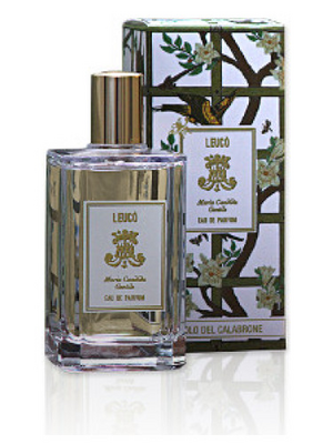 Leuco Eau de Parfum 100 ml Eau de Parfum