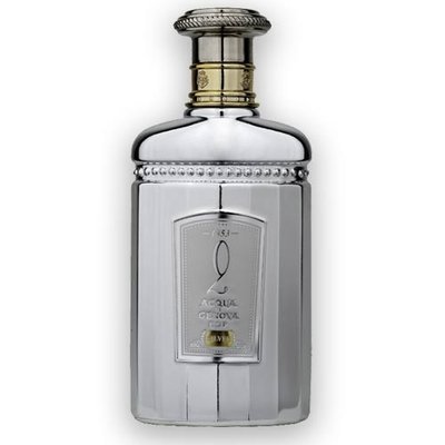 Silver 2 Eau de Parfum 100 ml