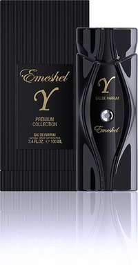 Y Eau de Parfum 100 ML