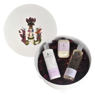 Corallium Giftset bath, body and shower